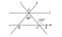 In the figure below, line l is 
parallel to line m. Transversals t and u intersect at point A on l and intersect m
at points C and B, 
respectively. Point X is on m, the
measure of ∠ACX is 130°, and the measure of ∠BAC is
80°. How many...