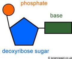 Phosphate group
-PO4