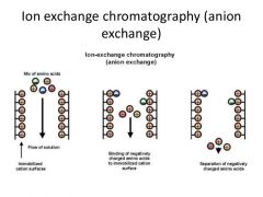 ion-exchange chromatography...