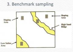 Select a quarter acre as benchmark. Taking samples at the benchmark to represent the whole field (or soil management zone)
