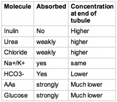 think of what substances the body really wants to keep


top 3 conc ↑ because 70% water has been reabsorbed