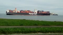 De grote rivier die van de Noordzee tot in de haven van Antwerpen gaat voor grote schepen.