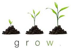 Note: grow - grew - grown
Grow up :  
-I grew up in Scotland (= I lived there when I was young).
-What do you want to be when you grow up?She wants to be a doctor when she grows up
Grow out :
- If you grow out of an interest or way of behaving, yo...