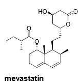 What part of the mevastatin structure is crucial to its function? Why?