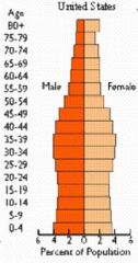 This population pyramid shows__________