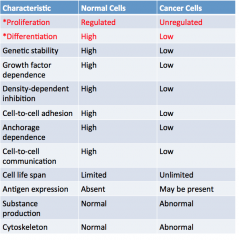 -Cancer cells are characterized by two main features--abnor- map and rapid proliferation and loss of differentiation. Loss of differentiation means that they do not exhibit normal features and properties of differentiated cells and hence are more ...