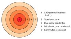 Burgess' Concentric Zone Model