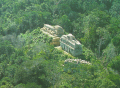 #155
Yaxchilan 
Chipas, Mexico 
Maya