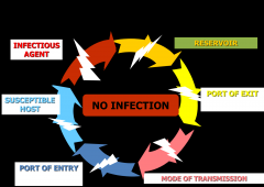 (1) Infectious agent
(2) Reservoir
(3) Portal of exit
(4) Mode of transmission
(5) Portal of entry
(6) Susceptible host
