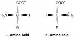 A Chiral center
Glycine 
L-amino acid form (ammonia on left)  is more commonly found in nature. D-acids maybe found.