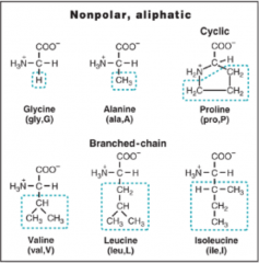 Aliphatic -do not contain rings 
Alanine (A), Glycine (G) and Proline (P) - cyclic, 
Branched: 
Valine (V),  Leucine (L) and Isoleucine (I)