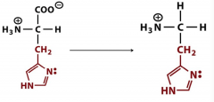Formed by decarboxylation of histidine.