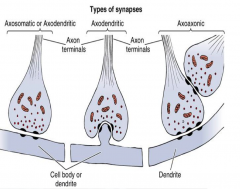 Swollen bulbs at end of axon which synapse with another neuron. 
Axosomatic, Axodendritic and Axonaxomic
