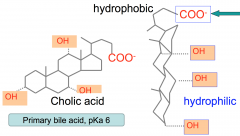 Cholic acid is the primarily bile acid that is synthesized and has one side that is hydrophobic and hydrophilic. Because the pKa of cholic (pKa6) you want bile acids to be conjugated to a charge so it can be more powerful.