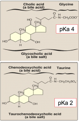 Liver conjugated cholic acid (bile acid) with glycine - to glycocholic. It changes pKa to 4. 
Also conjugated chenodeoxycholic acid with taurine - to taurochenodeoxycholic  - changing pKa to 2. 
This leads to negativiely charged molecules at the pH in t