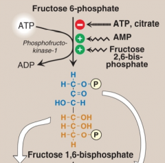 Glycolysis results in ATP generated. PFK-1 is inhibited by physiological ATP levels (when the objective to generate ATP is achieved). 
It is allosterically inhibited by ATP and citrate. 
Citrate arises from FA synthesis in liver. And high H+ concentrati