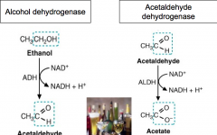 It leads to abnormally high NADH/NAD+ ratio in cytosol and in mitochondria. 
Alcohol dehydrogenase converts ethanol to acetaldehyde which generates NADH in the cytosol.
Acetalaldehyde is dangerous and can cause damage to the liver. To prevent is, Acetal