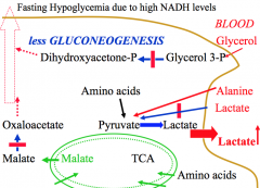 Run out of precursors. 
-Lactate cannot be used to form pyruvate and stays in blood. 
-Glycerol 3-P cannot be used to form DHAP. 
-Glucogenic amino acids cannot be used as efficiently as oxaloacetate cannot be formed from malate in cytosol
This decrea