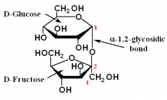 • Sucrose (cane sugar)= Glucose + Fructose
• Sucrose is a non-reducing sugar, as the C1 of glucose and C2 of fructose are involved in the glycosidic linkage (aldehyde and keto group is not free)
• Dietary sucrose is cleaved to the component monosacchari