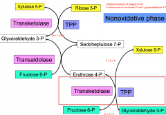 -reversible reactions
-take place where pentoses are not required
-enzymes are transketoloase (TPP) and transaldolase