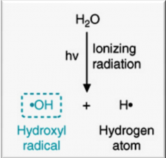 It is non-enzymatically formed superoxide and hydrogen peroxide in iron-catalyzed Haber Weiss reaction. It is the most detrimental ROS and also formed during radiation (skin, mutations, cancer and death) 
H2O2 + O2-  lead to OH radical (Haber-Weiss)
h2O