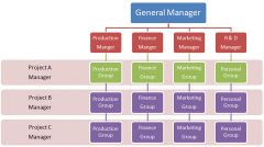 Matrix Organizational structure