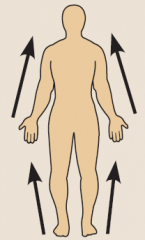 Closer to the origin of the body part or the point of attachment of a limb to the body trunk