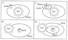 Which illustration correctly depicts the movement of Earth, the sun, and the moon?
 