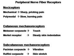 Merkel's skin receptors are slowly adapting skin receptors that detect pressure, texture, and low frequency vibration and can be appropriately evaluated by static two-point discrimination. Merkel's disk receptors adapt slowly and sense sustained p...