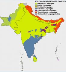 Language families of India
- Indo-European?
- Dravidian?
- Sino - Tibetan?
- Autro-Asiatic?
- Adamanese?