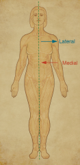Midline
The sagittal plane that runs from nose to navel.