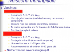 What are the two vaccines for Neisseria meningitides? Which one covers serogroup B?