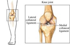 lateral collateral ligament
aka
fibular collateral ligament