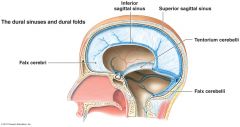 Extension of dura mater that separates 2 cerebrum from cerebellum