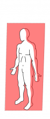 Frontal plane
Divides the body front and back.