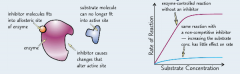Non-competitive inhibitors bind to enzymes away from their active sites, these sites are called allosteric sites.
They cause the active site of the enzyme to change shape, which does not allow substrates to bind to it.
They do not 'compete' with s...