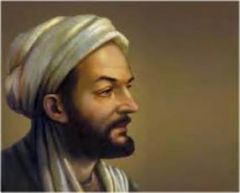 What discipline Ibn Sina (Avicenna) standed out?