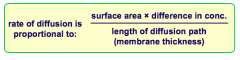 Surface area x 
difference in concentration


Divided by


Length of diffusion pathway