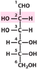 Aldose Hexose with C2 and C3 hydroxyls being opposite of C4 and C5 hydroxyls