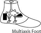 what is a multi axis foot?