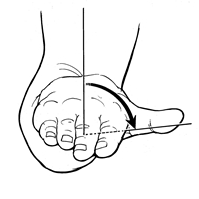Rotation of the forearm so that the palm faces poisteriorly or down