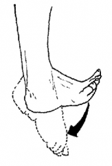Flexion of the entire foot down (point toes down)