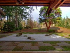 They represent calm, peace, and relaxation.  They appear in this photograph of a backyard.
