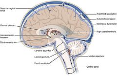Cerebrospinal fluid (CSF) is a clear colorless bodily fluid found in the brain and spine. It is produced in the choroid plexus of the brain. It acts as a cushion or buffer for the brain's cortex, providing a basic mechanical and immunologic...