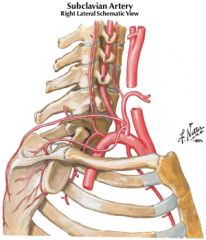 supreme intercostal artery