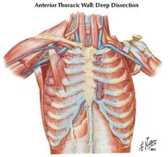thoracic duct