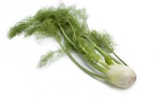 ANIS/ Fennel