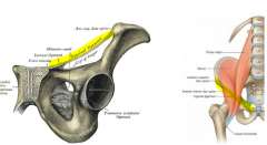formed by inferior muscle between ASIS and Pubic tubercle