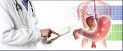 La Gastroenterologia es la especialidad medica que se ocupa de todas las enfermedades del aparato digestivo que esta conformado por: el esofago, el estomago, el higado y las vias billares, el pancreas, el intestino delgado, el colon y el recto.