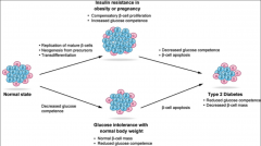 Physiological conditions such as pregnancy or body weight gain. 


New beta cells can be generated in response to insulin resistance associated with obesity or pregnancy. 
